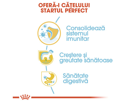 Beneficiile hranei pentru câini: Consolidarea sistemului imunitar, creștere și greutate sănătoase, susține digestia