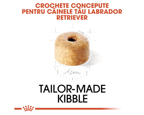 Crochete pentru câini Labrador Retriever