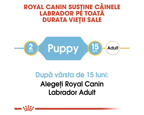 Royal Canin susține câinii Labrador pe toată durata vieții lor. Hrană pentru căței de la 2 la 15 luni, apoi hrană pentru câini adulți.