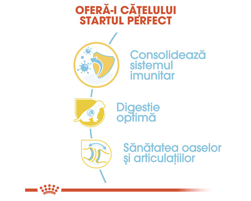 Diagramă cu beneficiile hranei pentru câini: susține sistemul imunitar, digestie optimă și sănătatea oaselor și articulațiilor.