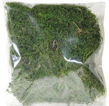 Pachet cu mușchi islandez