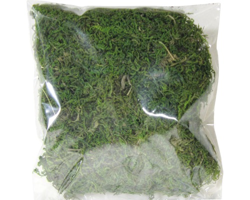 Pachet cu mușchi islandez