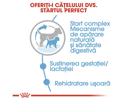 Beneficiile hranei pentru căței: Start complex, mecanisme de apărare naturală, sănătate digestivă, susținerea gestației și lactației, rehidratare ușoară.