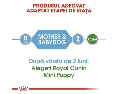 Diagrama etapelor de hrănire Royal Canin Mother and Babydog