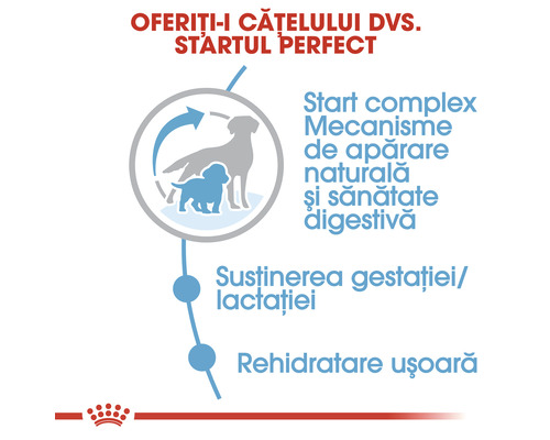 Beneficiile hranei pentru câini: Susținerea sistemului imunitar, sprijinirea digestiei, susținerea gestației și lactației, rehidratare.