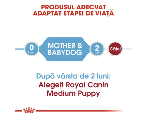 Diagramă privind adaptarea produsului la etapa de viață a câinelui