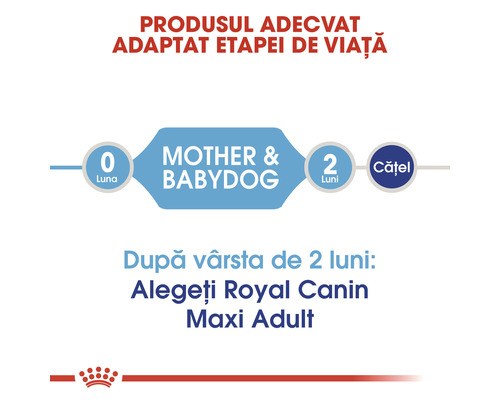 Produsul adecvat adaptat etapei de viață