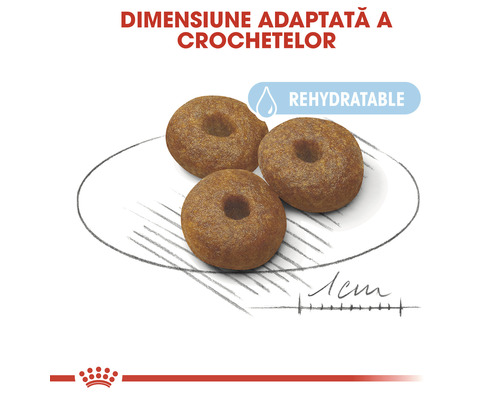 Trei bucăți de hrană uscată rehidratabilă pentru câini pe o farfurie