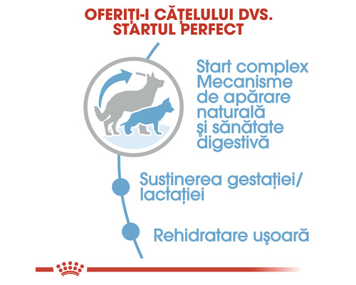 Informații despre produs pentru hrana pentru câini: complex de start, mecanisme de apărare naturală, susținere în timpul gestației și alăptării, rehidratare