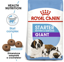 Hrană uscată pentru câini Royal Canin CC Giant Starter Mother & Babydog, 15 kg-thumb-1