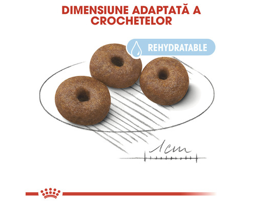 Trei bucăți de hrană rehidratabilă pentru câini într-o farfurie