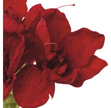 Floare artificială Amaryllis, 66 cm, roșu-thumb-1