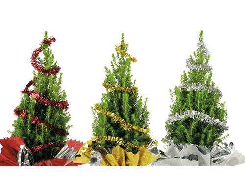 Trei brazi de Crăciun decorați în ghivece cu beteală