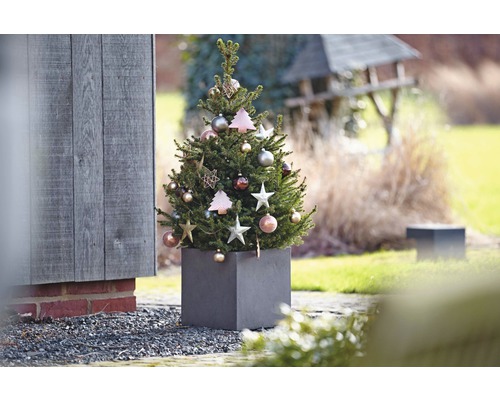 Conifer decorat în jardinieră pentru exterior