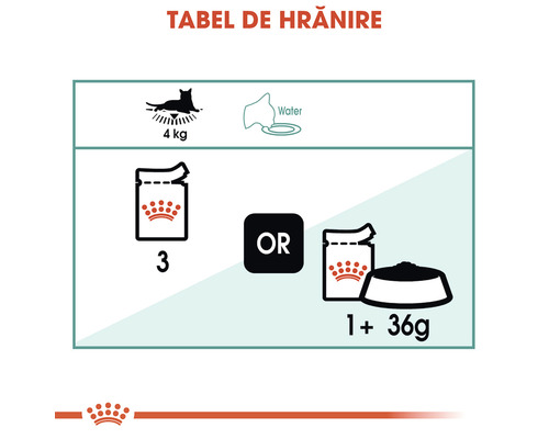 Tabel de hrănire pentru hrana pentru pisici