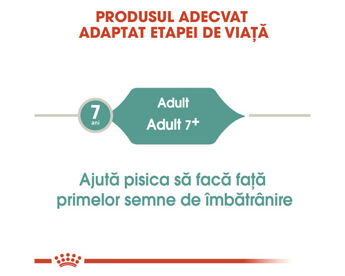 Produs adecvat pentru pisici adulte de la 7 ani