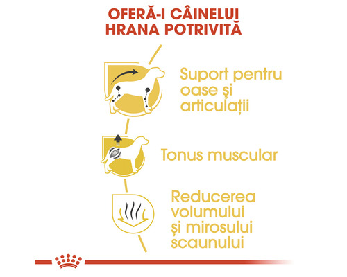 Dog food benefits: supports bones and joints, muscle tone, reduces stool volume and smell