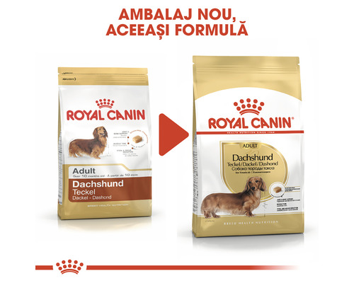 Hrană uscată Royal Canin pentru câini teckel adulți în design nou și vechi de ambalare