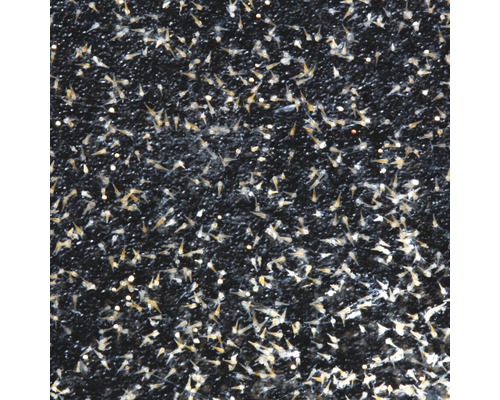 Creștere de nauplii de artemia