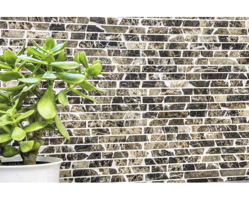 Faianță de perete cu model de piatră și plantă de interior verde în ghiveci