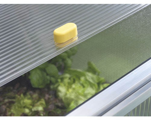 Prim-plan cu o fereastră de răsadniță cu reglaj de ventilație