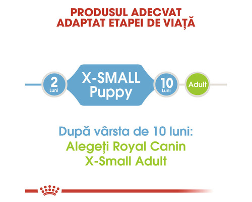 Informații despre produs referitoare la recomandările de hrănire pentru căței și câini adulți de talie mică Royal Canin X-Small