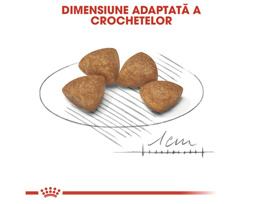 Crochete de mâncare uscată pentru câini pe o farfurie