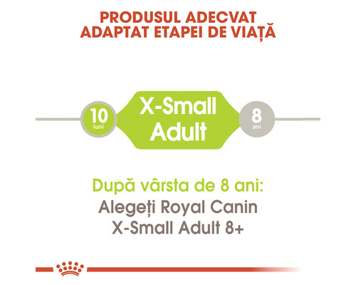 Hrană pentru câini Royal Canin X-Small Adult potrivită de la vârsta de 10 luni până la 8 ani
