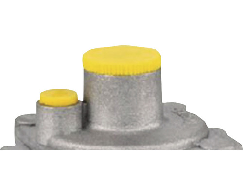 Regulator de presiune a gazului cu capace de protecție galbene