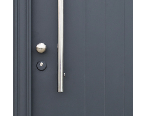 Imagine detaliată cu o ușă de intrare cu mâner și încuietoare