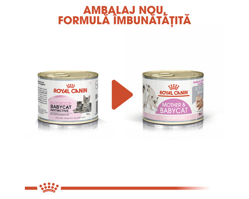 Royal Canin Babycat, hrană umedă pentru pisici, ambalaj nou, formulă îmbunătățită