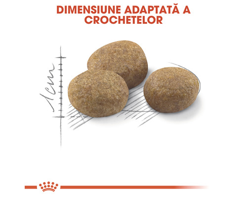 Trei crochete de hrană uscată cu indicație de dimensiune