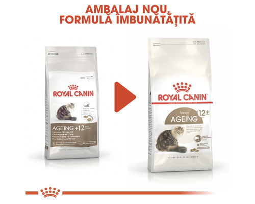 Două pachete de mâncare pentru pisici Royal Canin Senior Ageing pentru pisici de la doisprezece ani