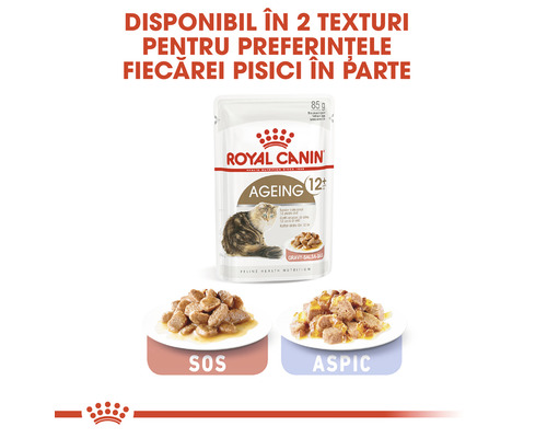 Royal Canin hrană pentru pisici Ageing 12 Plus în sos
