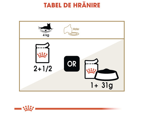 Tabel de hrănire pentru hrana pisicilor