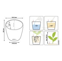 Imagine a unui vas de plantare cu dimensiuni și instrucțiuni pentru udare și plantare