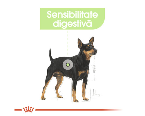Ilustrație cu un câine cu mențiunea sensibilitate digestivă