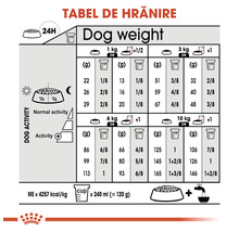 Hrană uscată pentru câini, ROYAL CANIN Mini Digestive Care, 8 kg-thumb-1