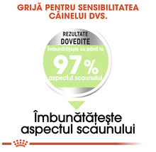 Îmbunătățire a aspectului scaunului câinelui cu 97%