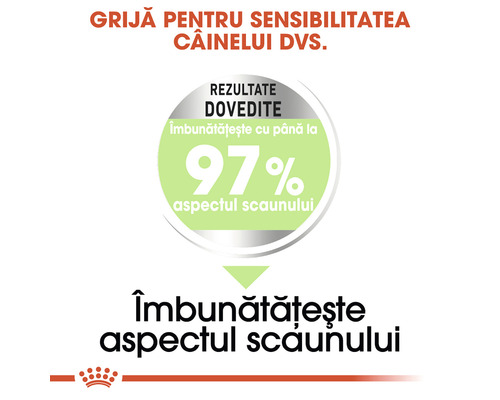 Îmbunătățire a aspectului scaunului câinelui cu 97%