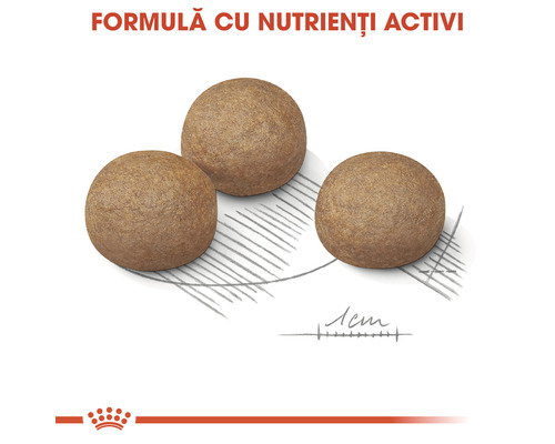 Trei crochete hrană pentru câini