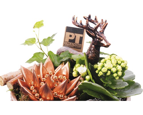 Aranjament decorativ cu plante, figurină cerb și logo PT Creations