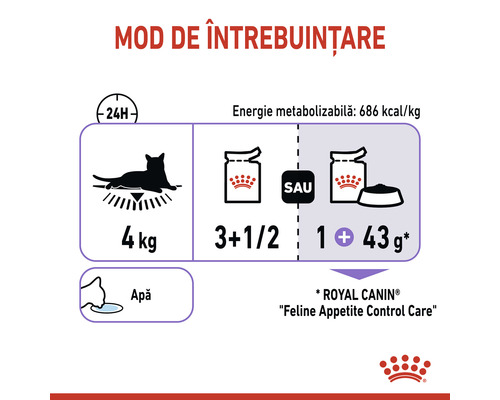 Ghid de hrănire pentru hrana pisicilor