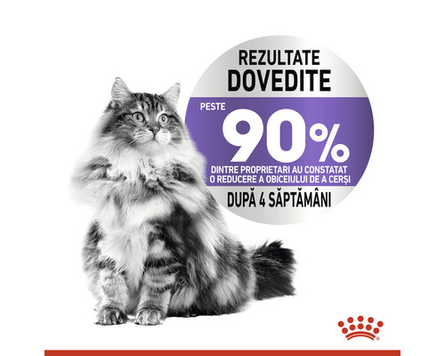 Pisică cu mențiunea că peste 90% dintre proprietari au observat o reducere a obiceiului de a cerși după patru săptămâni.