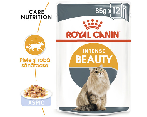 Hrană pentru pisici Royal Canin Intense Beauty în plic de 85 de grame, pachet de 12