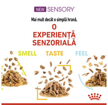Hrană umedă pentru pisici Royal Canin Sensory Smell în sos 85 g-thumb-5