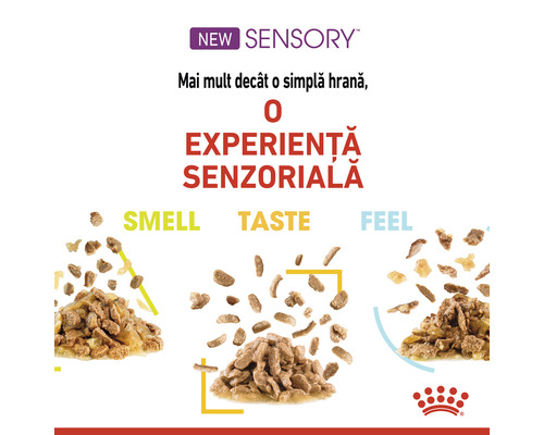 Reclamă la produsul New Sensory hrană pentru pisici cu simțurile miros, gust și atingere