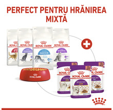 Hrană umedă pentru pisici Royal Canin Sensory Smell în sos 85 g-thumb-6