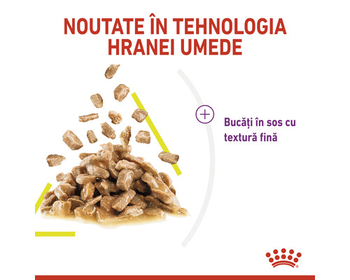 Hrană pentru pisici cu bucăți de carne în sos