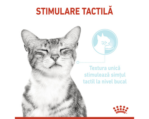 Pisică cu ochii închiși pentru stimulare tactilă